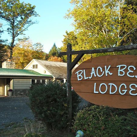 Black Bear Lodge Prattsville Exterior foto